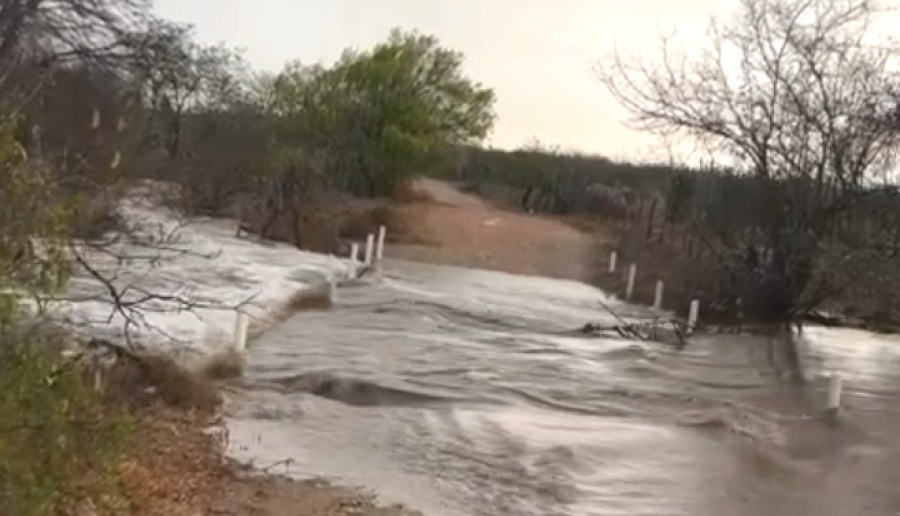 Chuva chega ao Território do Sisal após dia de calor intenso