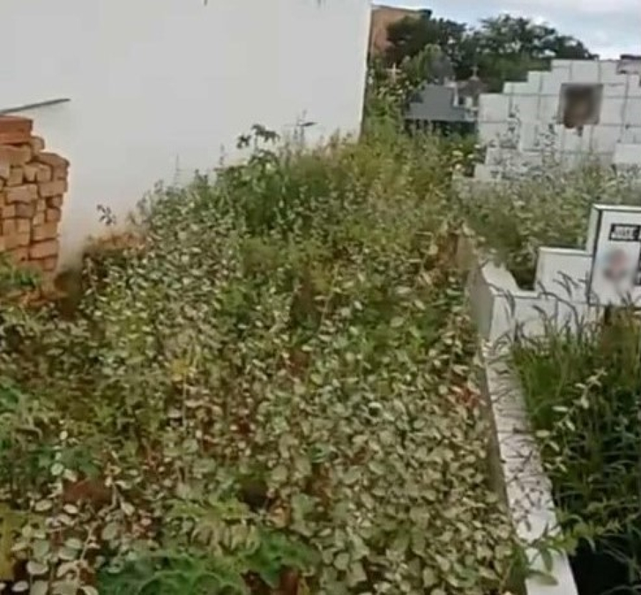 Morador de Barrocas cobra limpeza do cemitério municipal e denuncia abandono do espaço público