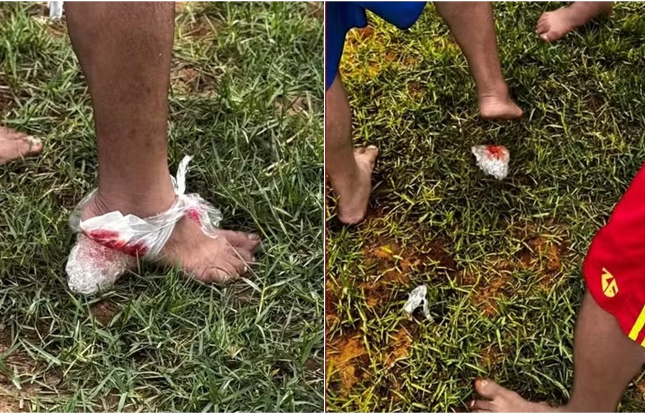 Ataque de piranhas deixa ao menos dez feridos no Rio Paraguaçu, no interior da Bahia