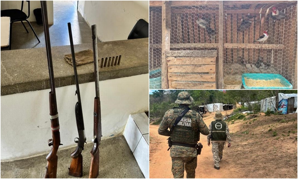 Mais de 100 aves silvestres são resgatadas em operação ambiental no interior da Bahia