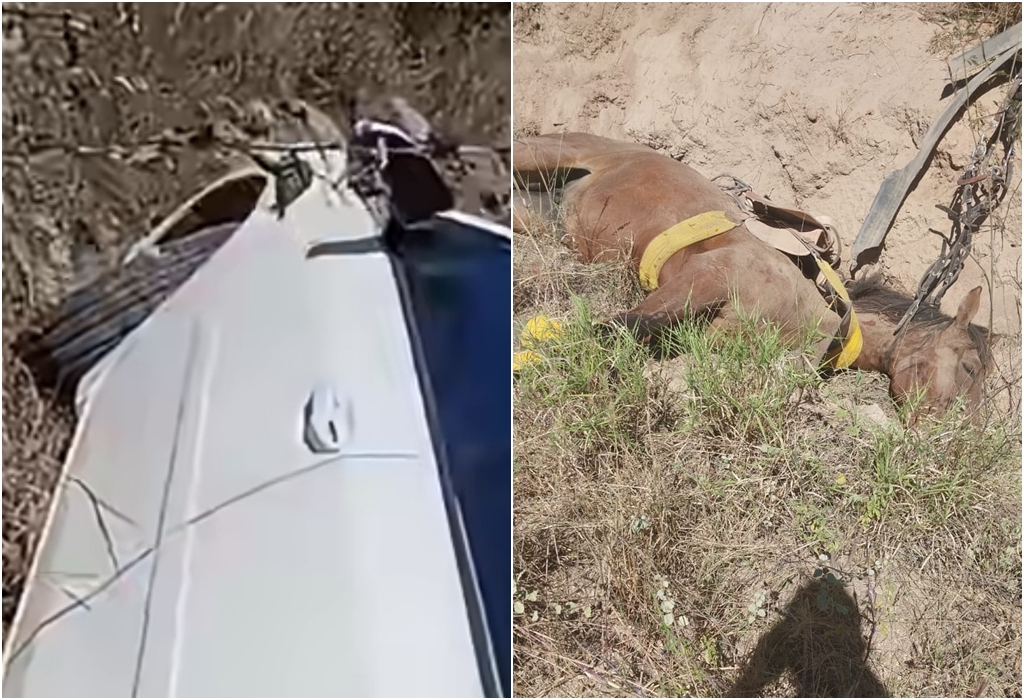 Mulher morre e homem fica gravemente ferido após serem atropelados na BA-408, em Araci