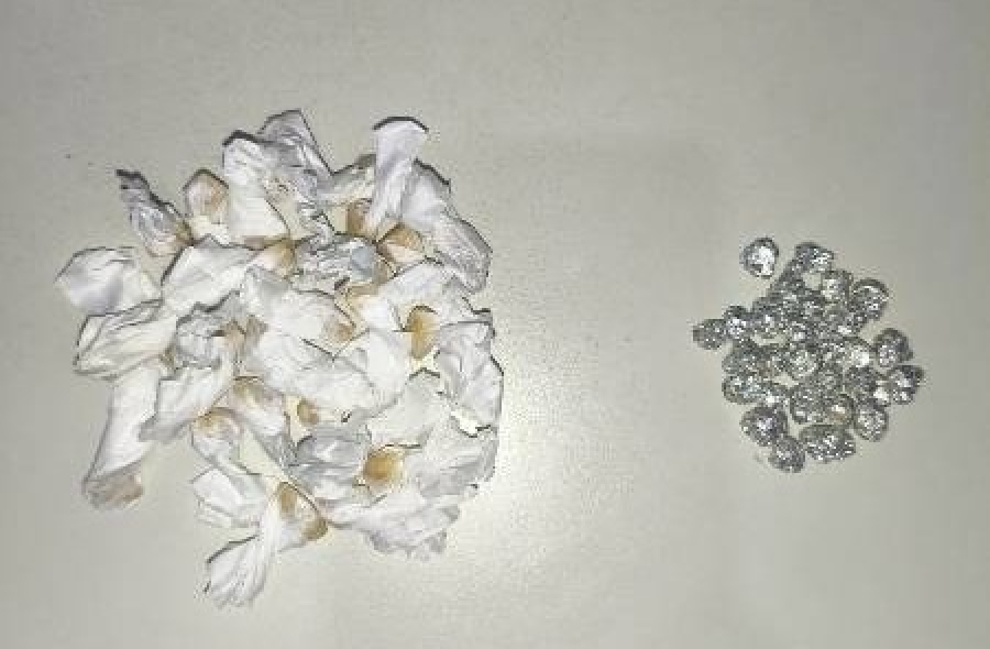 Polícia Militar apreende 55 pedras de crack em área próxima a campo de futebol em Serrinha