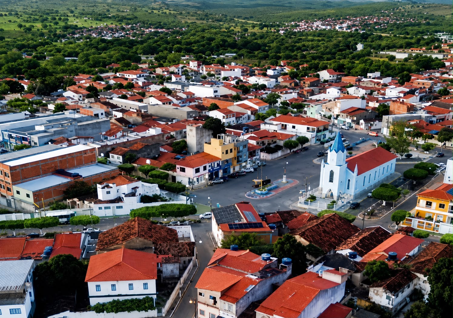 Prefeitura de Queimadas confirma caso de raiva em bovino e reforça medidas de prevenção