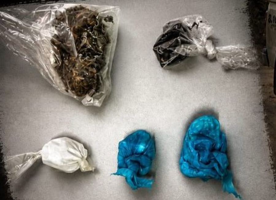 Polícia Militar apreende drogas escondidas em imóvel abandonado na zona rural de Araci