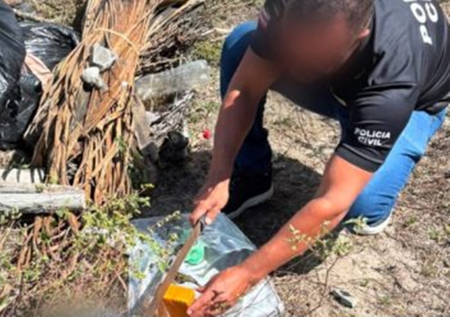 Polícia Civil incinera mais de 26 quilos de drogas apreendidas em Conceição do Coité