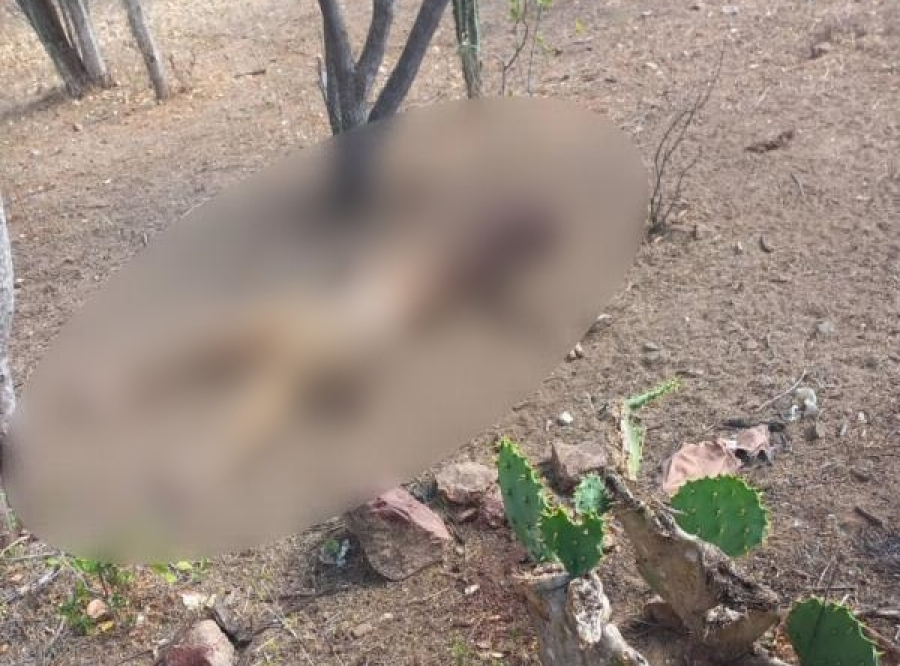 Jovem de 21 anos é encontrada morta e parcialmente carbonizada em Santaluz