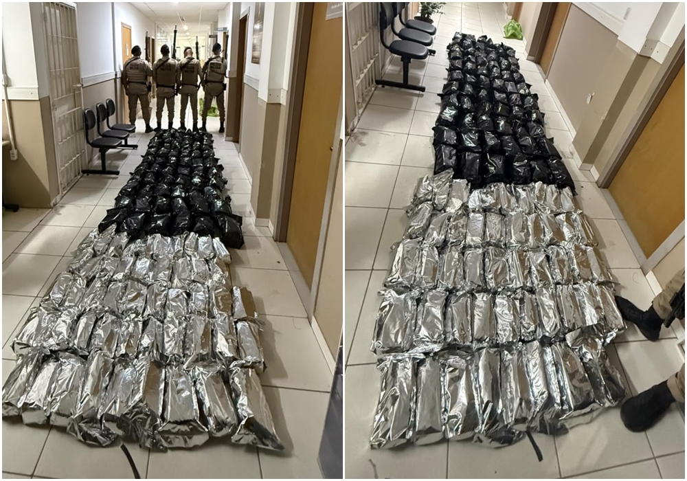 Polícia Militar apreende 90 quilos de maconha na BR-116, em Serrinha; homem de 25 anos é preso