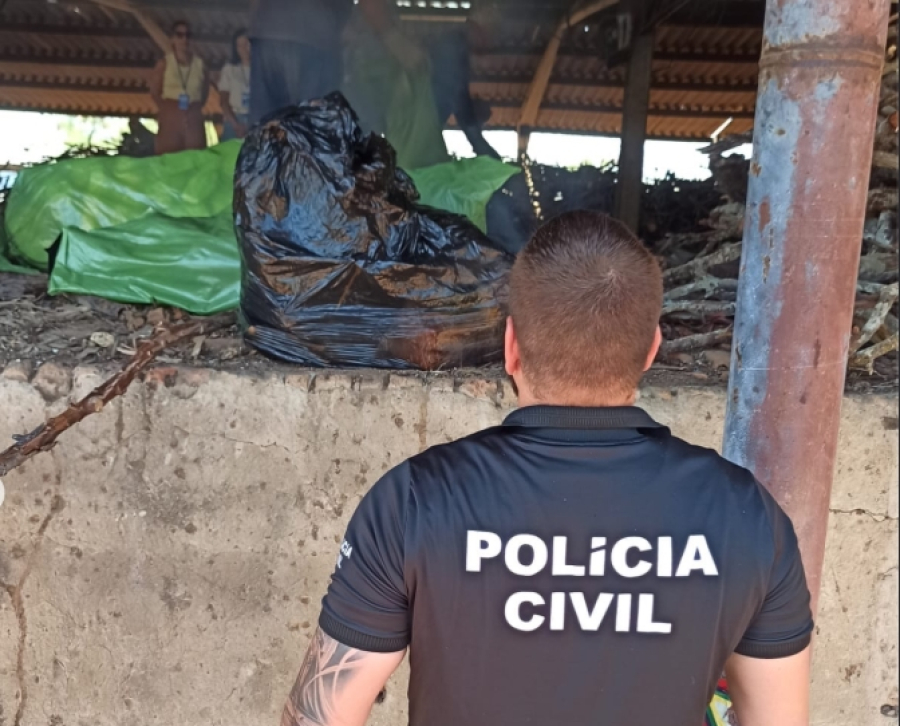 Polícia Civil incinera 100 quilos de drogas apreendidas durante operações em Serrinha